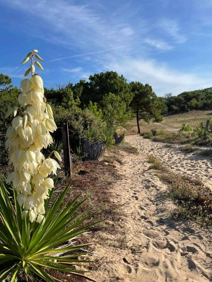 Maison Dans Les Dunes Barbâtre Esterno foto